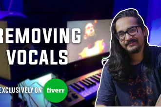 remove vocals from any track in under 24 hrs
