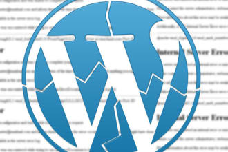fix error or bug on your wordpress website