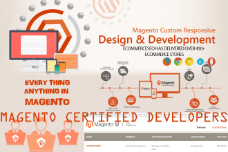 fix any bug magento 2 by adobe certified ecommerce engineer