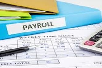 run your payroll on excel
