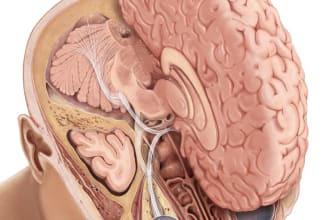 do realistic medical  illustration