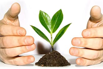 interpret your business in a database