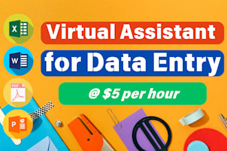 be your virtual assistant for excel data entry, copy paste and web research