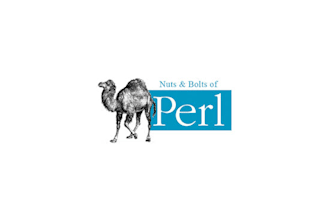 do shell scripting,perl,python scripts for you