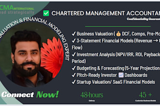 build detailed financial modeling and business valuation