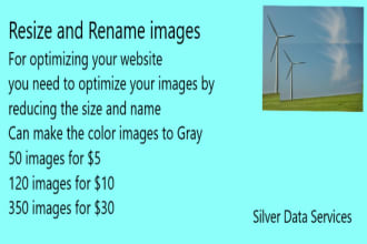 do resize cropping retouching background removal rename