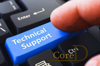 do consulting or remote IT tech support for computer issues