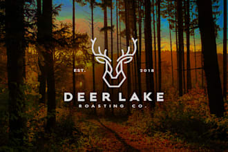 design modern minimalist logo design within 24 hours
