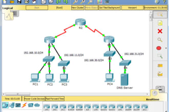 assist in networking task and network design