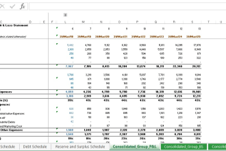 prepare and vet financial model for your company