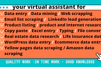 be your virtual assistant for canva, data entry, lead generation and online task