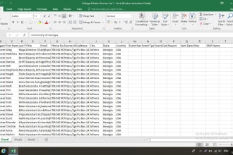 extract data to website in excel