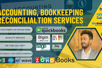 be your accountant, bookkeeper, reconciliation service provider for the business