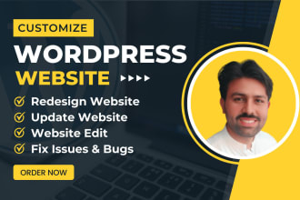redesign, customize wordpress website and fix issues