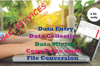 do perfectally data enty , data mining , copy paste