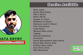 do data entry and typing service