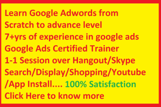 teach google ads live one on one live session with casestudy