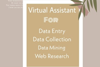 do professional dataentry work within 4 hrs