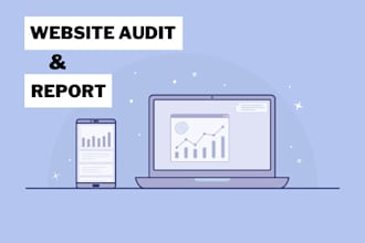audit your wordpress  site and send a report