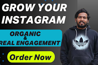organically grow your instagram followers and engagement