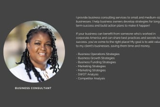 provide business operations consulting services