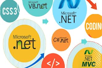 software development web or windows