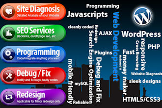 customize or fix anything in your WP website