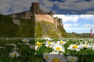 crop or resize upto 10 of your photos in photoshop