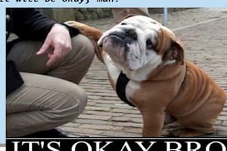 give you an awesome powerpoint and word presentation about dogs, if you really love to talk about them