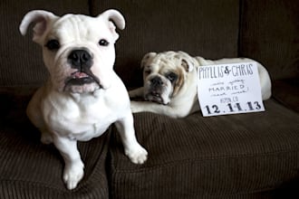 take a picture of my bulldogs with your message