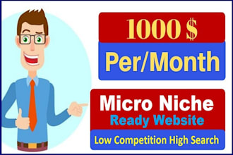 setup complete micro niche website
