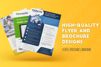 design a professional flyer or brochure