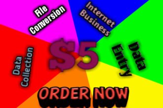 do fast online researches and various file conversion