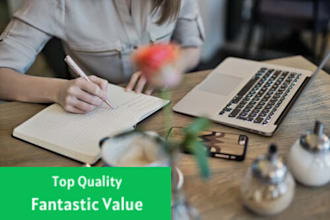 copy edit your supplied content into good english