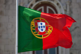 translate 300 words Portuguese to English