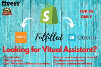 be your shopify store, virtual assistant