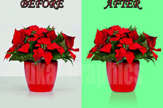 do clipping path by a cutout, background remove service