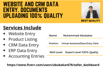 do website, crm, erp, accounting entries for you