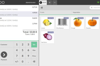 do customize in odoo point of sale