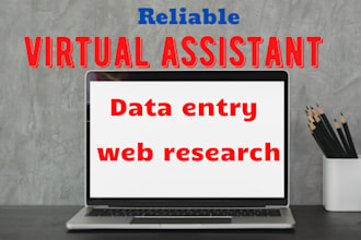 be your best virtual assistant for data entry and web research