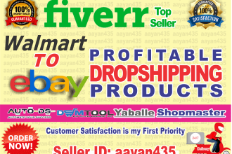 do walmart to ebay dropshipping listing top sellings