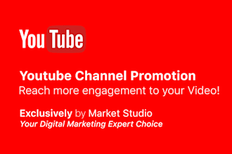 do organic youtube channel promotion and video marketing