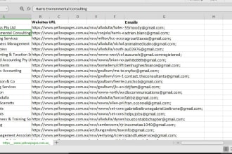 collect emails, web scraping, data extraction, and  internet search