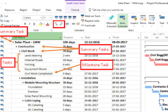 help in microsoft project tools gantt, timeline, wbs