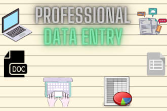 do professional data entry, copy paste, and ms data entry