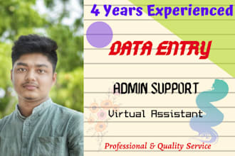 do professional data entry job for USA or any organization