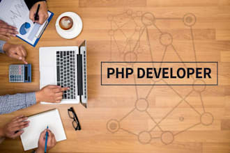 professional php development with cms system