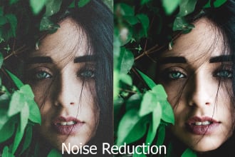 do professionally noise reduction your photo quickly
