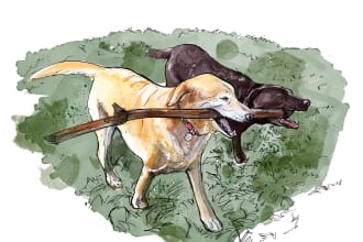 draw an animal in digital watercolor and ink