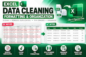 clean, format, organize and remove duplicates in excel data